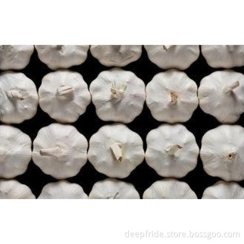 4.5cm - 5.0cm Spicy Fresh Normal White Garlic , No Black Mo